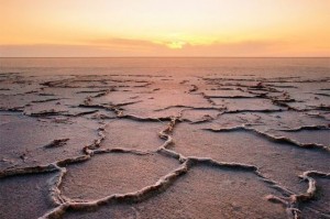 Aral Sea environmental disaster