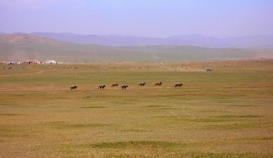 Mongol horseracing